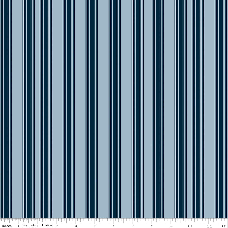 Freedom Garden Sky Stripes Yardage by My Mind's Eye for Riley Blake Designs