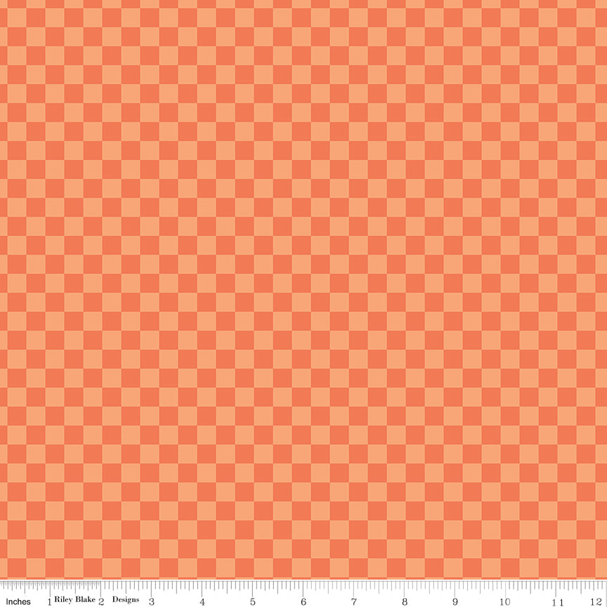 Hey Pumpkin Orange Checks Yardage by My Mind's Eye for Riley Blake Designs