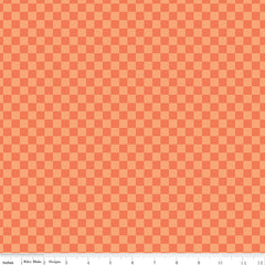 Hey Pumpkin Orange Checks Yardage by My Mind's Eye for Riley Blake Designs