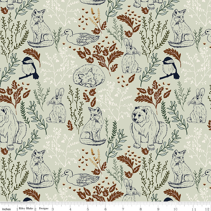 Let's Wander Mist Main Yardage by Casey Cometti for Riley Blake Designs