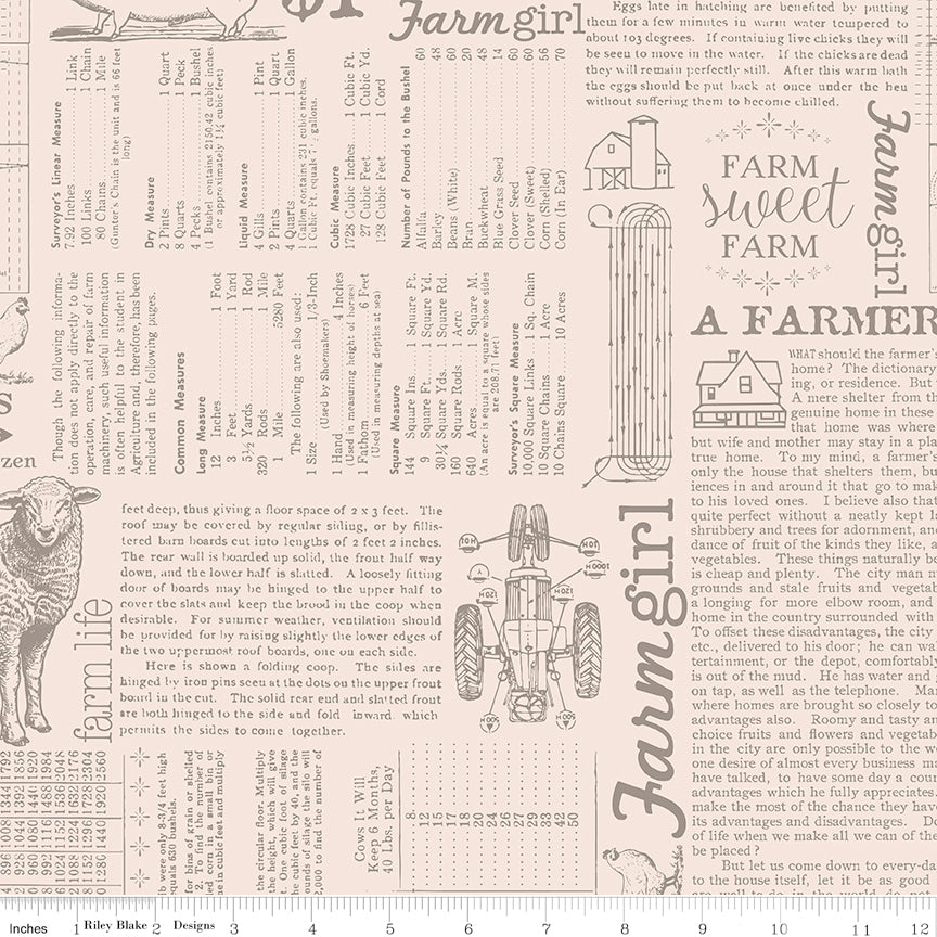 Farmer's Daughter Rustic Farm Life Background Yardage by Lori Holt for Riley Blake Designs