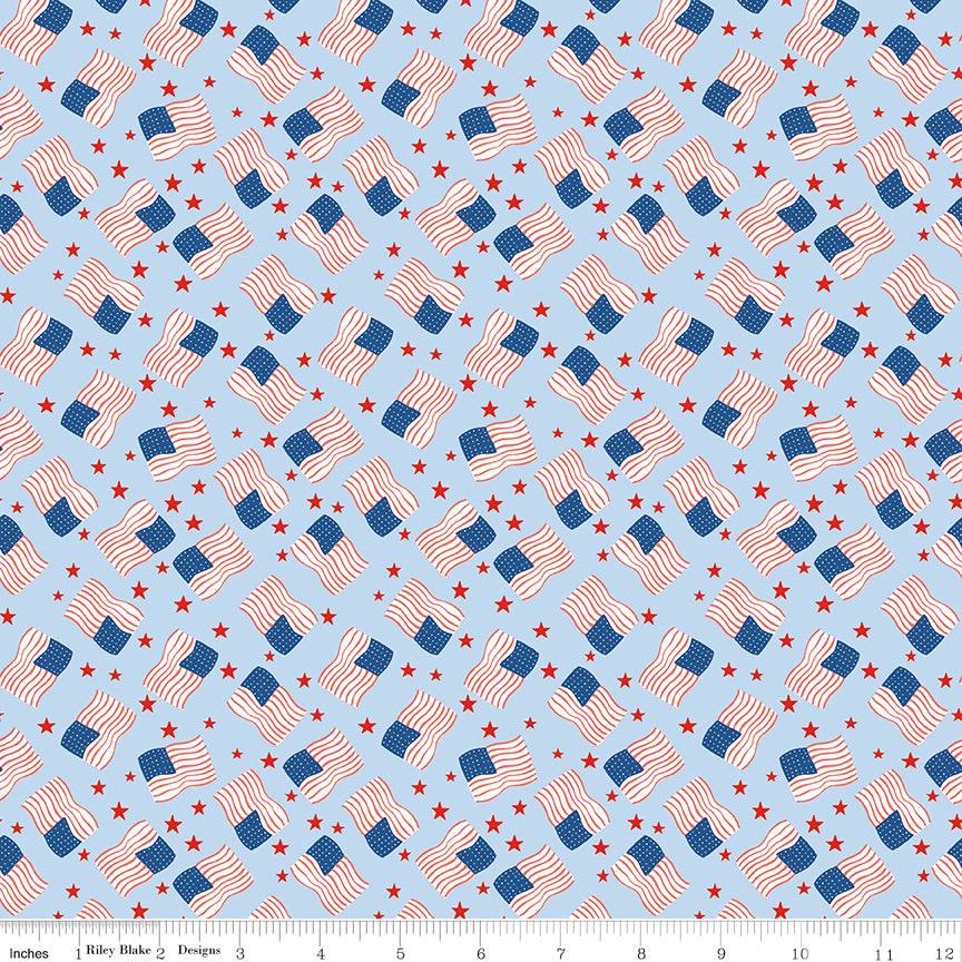 Firecracker Frost Flags Yardage by My Mind's Eye for Riley Blake Designs