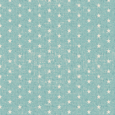 The Cur8tor Romantica Starry Dreams Yardage by AGF Studios for Art Gallery Fabrics