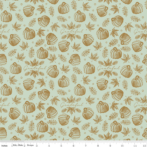 Shades Of Autumn Tea Green Icons Sparkle Yardage by My Mind's Eye for Riley Blake Designs