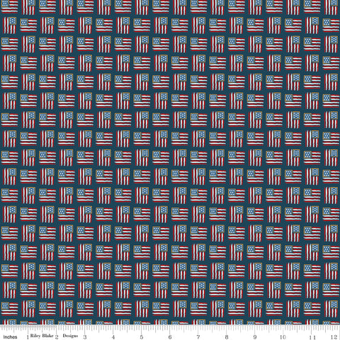 Sweet Freedom Oxford Flags Yardage by Beverly McCullough for Riley Blake Designs