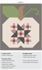 Autumn Quilt Seeds Pumpkin #5 Pattern by Lori Holt of Bee in my Bonnet