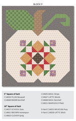 Autumn Quilt Seeds Pumpkin #9 Pattern by Lori Holt of Bee in my Bonnet