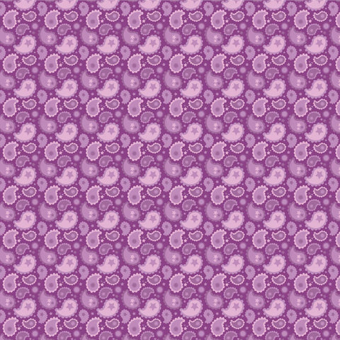Calico Cowgirls Purple Paisley & Poppy Yardage by Lori Woods for Poppie Cotton Fabrics