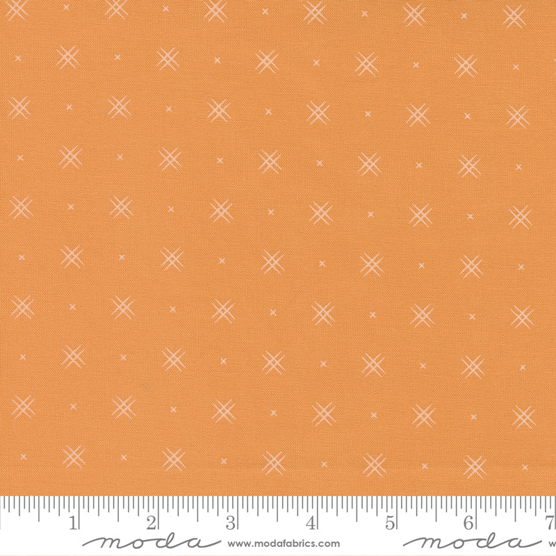 Beyond Bella Amelia Apricot Yardage by Bound Co. for Moda Fabrics