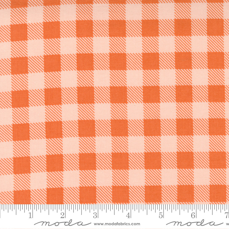 Make Time Strawberry Check Yardage by Aneela Hoey for Moda Fabrics