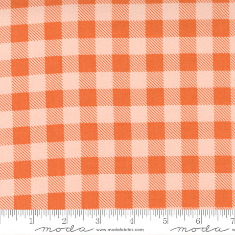Make Time Strawberry Check Yardage by Aneela Hoey for Moda Fabrics