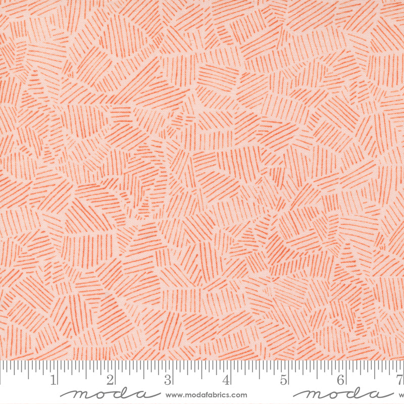 Meander Blush Field Yardage by Aneela Hoey for Moda Fabrics