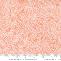 Meander Blush Field Yardage by Aneela Hoey for Moda Fabrics