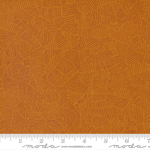 Meander Saddle Field Yardage by Aneela Hoey for Moda Fabrics