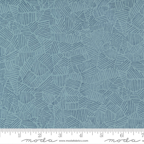 Meander Denim Field Yardage by Aneela Hoey for Moda Fabrics
