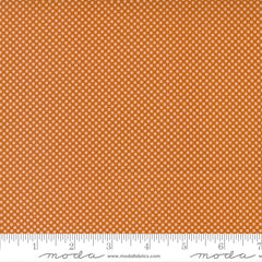 Meander Saddle Dot Yardage by Aneela Hoey for Moda Fabrics