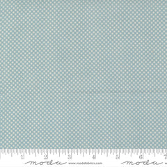 Meander Denim Dot Yardage by Aneela Hoey for Moda Fabrics