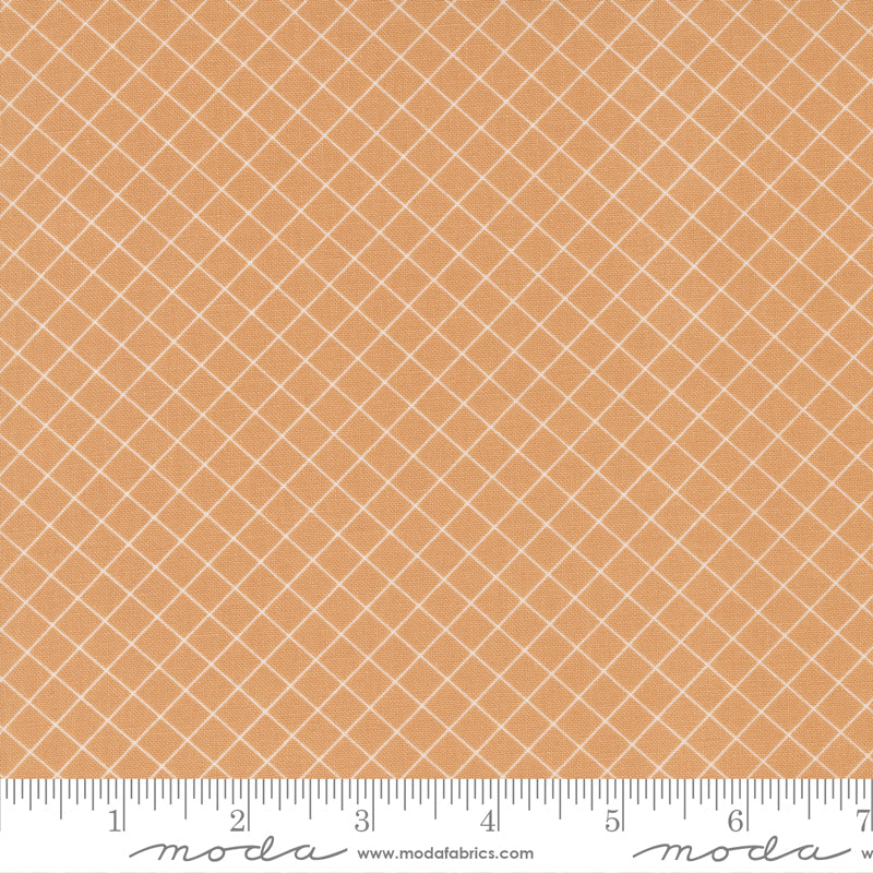 Sunnyside Apricot Graph Yardage by Camille Roskelley for Moda Fabrics
