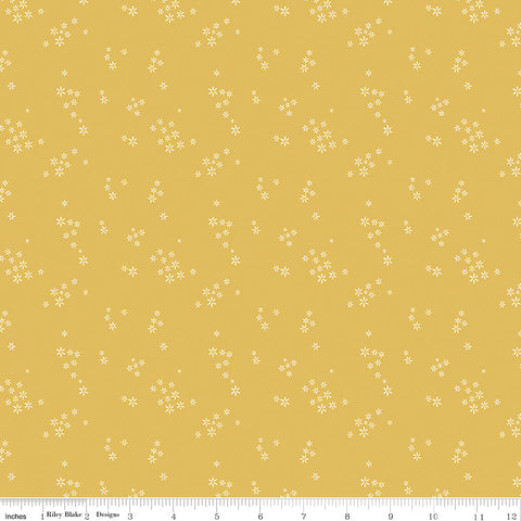 Daybreak Daisy Seeds Yardage by Fran Gulick for Riley Blake Designs