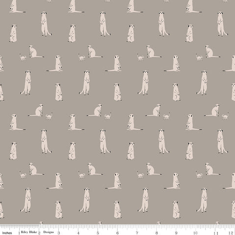 The Waterhole Gray Meerkat Yardage by Gabrielle Neil Design for Riley Blake Designs