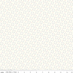 Hush Hush 2 Secret Love Yardage by Riley Blake Designers for Riley Blake Designs