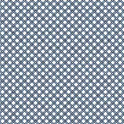 Gingham Picnic Blue Liberty Yardage by Lori Woods for Poppie Cotton Fabrics
