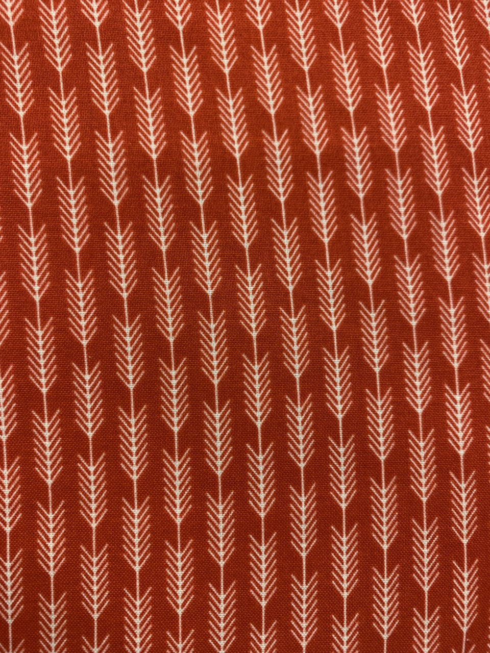 High Adventure Red Arrows Yardage by Design by Dani for Riley Blake Designs