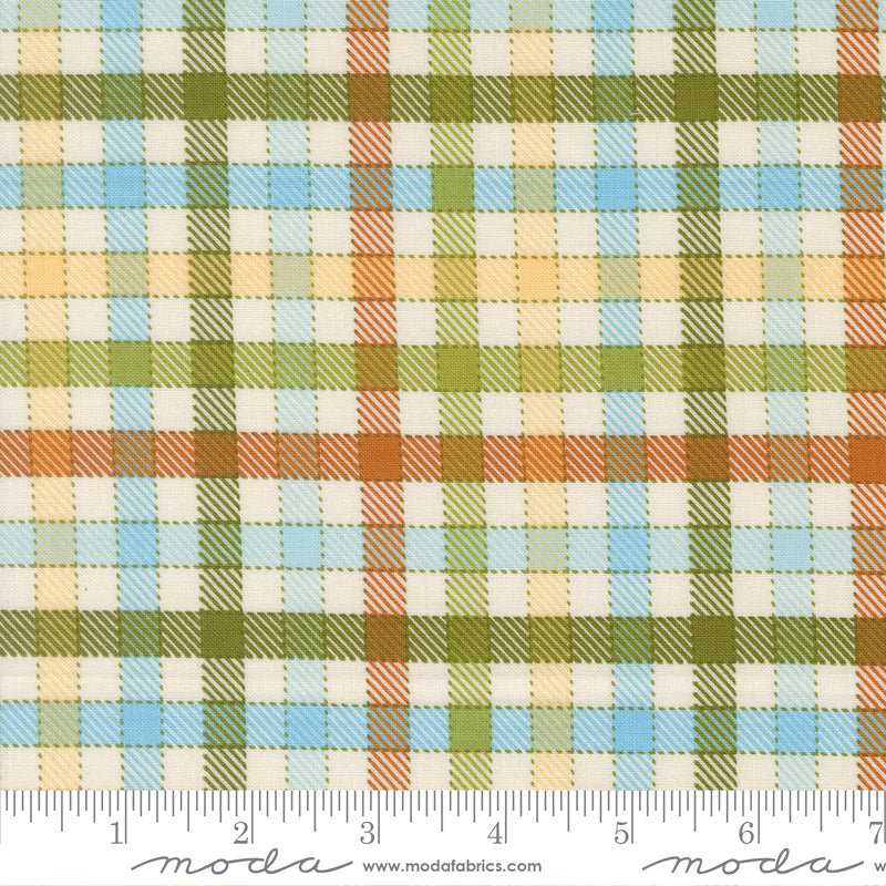 Animal Park Fun Iguana Baby Check Yardage by Stacy Iest Hsu for Moda Fabrics