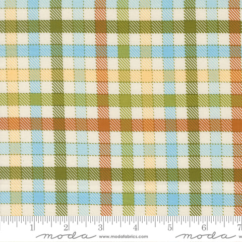 Animal Park Fun Iguana Baby Check Yardage by Stacy Iest Hsu for Moda Fabrics