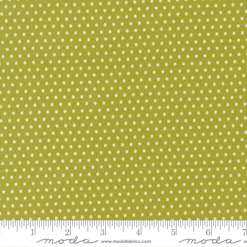 Animal Park Fun Iguana Dotty Yardage by Stacy Iest Hsu for Moda Fabrics