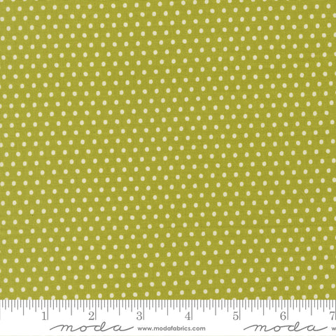 Animal Park Fun Iguana Dotty Yardage by Stacy Iest Hsu for Moda Fabrics