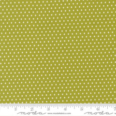 Animal Park Fun Iguana Dotty Yardage by Stacy Iest Hsu for Moda Fabrics
