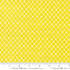 Feed Sacks: Good Works Sprout Chicken Wire Yardage by Linzee McCray for Moda Fabrics