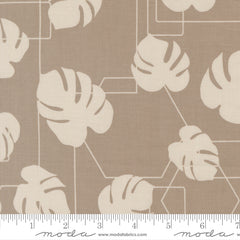 Potted Ash Monstera Geo Yardage by Kiley's Quilt Room for Moda Fabrics