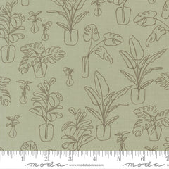 Potted Sage Indoor Jungle Yardage by Kiley's Quilt Room for Moda Fabrics