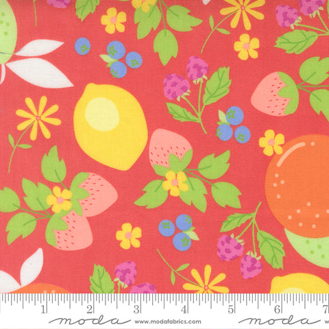 Fruit Salad Flamingo Fruits Yardage by Corey Yoder for Moda Fabrics