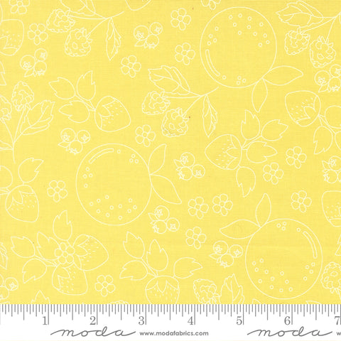 Fruit Salad Sunshine Fruit Sketch Yardage by Corey Yoder for Moda Fabrics