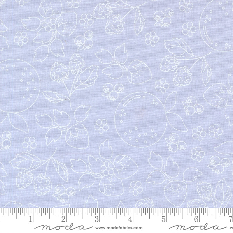 Fruit Salad Light Blue Fruit Sketch Yardage by Corey Yoder for Moda Fabrics