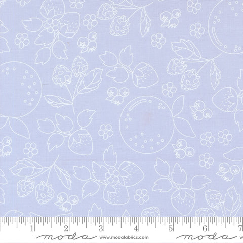 Fruit Salad Light Blue Fruit Sketch Yardage by Corey Yoder for Moda Fabrics