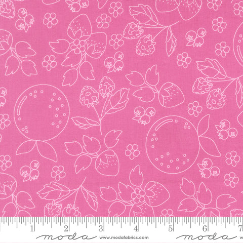 Fruit Salad Petal Pink Fruit Sketch Yardage by Corey Yoder for Moda Fabrics