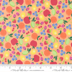 Fruit Salad Cantaloupe Fruit Cup Yardage by Corey Yoder for Moda Fabrics