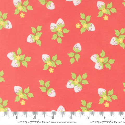 Fruit Salad Flamingo Strawberries Yardage by Corey Yoder for Moda Fabrics