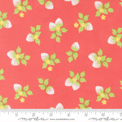 Fruit Salad Flamingo Strawberries Yardage by Corey Yoder for Moda Fabrics