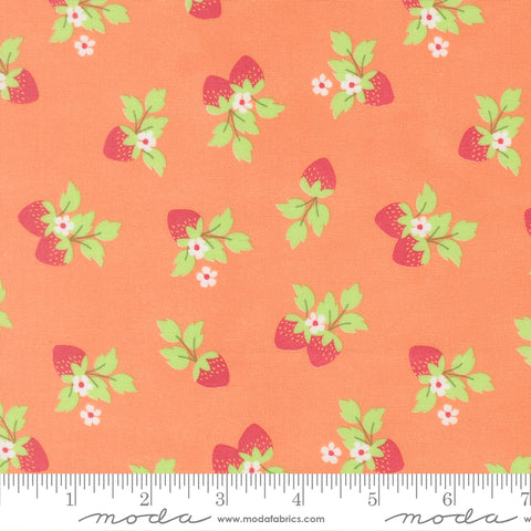 Fruit Salad Coral Strawberries Yardage by Corey Yoder for Moda Fabrics