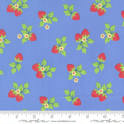 Fruit Salad Sky Strawberries Yardage by Corey Yoder for Moda Fabrics