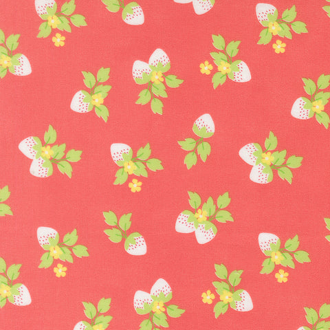 Backing Kit Strawberries from the Fruit Salad collection by Corey Yoder