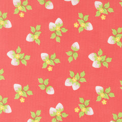 Backing Kit Strawberries from the Fruit Salad collection by Corey Yoder