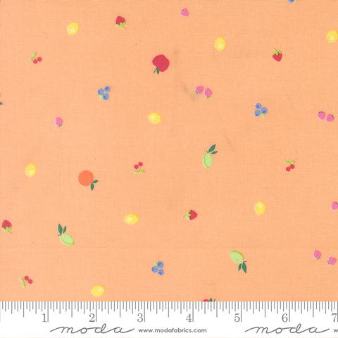 Fruit Salad Cantaloupe Fruit Snack Yardage by Corey Yoder for Moda Fabrics