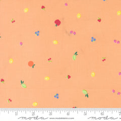 Fruit Salad Cantaloupe Fruit Snack Yardage by Corey Yoder for Moda Fabrics