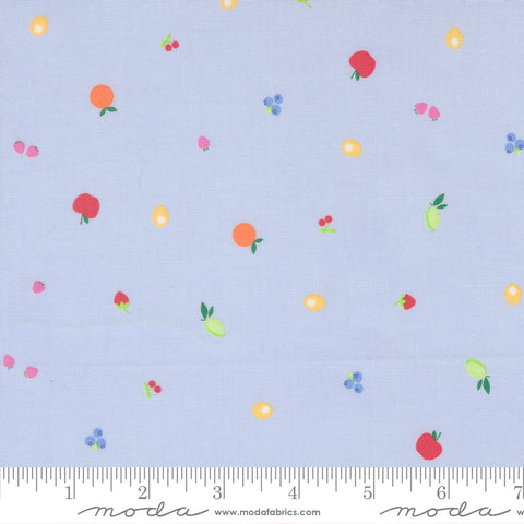 Fruit Salad Light Blue Fruit Snack Yardage by Corey Yoder for Moda Fabrics